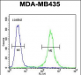 CCR8 Antibody (C-term)