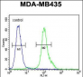 MYCT1 Antibody  (C-term)