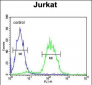 CD34 Antibody (Center)