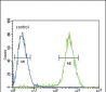 CB2 Antibody (C-term)