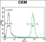 PON1 Antibody (Center)