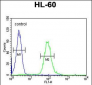 CSF2 Antibody (Center)