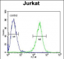 MPP1 Antibody (Center)