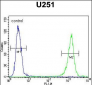 GPAA1 Antibody (N-term)