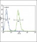 ETV5 Antibody (N-term)