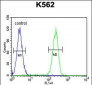 RPL27A Antibody (C-term)