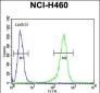 CD2BP2 Antibody (N-term)