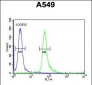 TAGAP Antibody (Center)