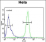 DTL Antibody (Center)