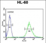 ENASE Antibody  (Center)