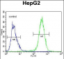 UBFD1 Antibody (N-term)