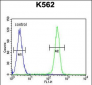 TNFSF4 Antibody (Center)