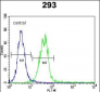 CLEC11A Antibody (Center)