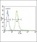 TNFR-S274 Antibody