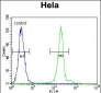 APG7L Antibody(D555)