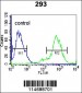 TIEG Antibody (Center)