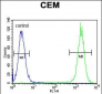 DUOX2 Antibody (Center)