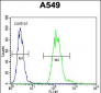 EAPII Antibody (C-term)