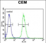 LIPC Antibody (N-term)