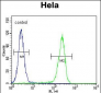 CRFR2D Antibody