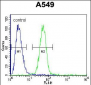 COP1 Antibody (N-term)