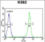 CRFR2 Antibody (D35)