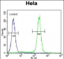 JHDM2b Antibody (C-term)