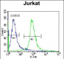 RSBN1 Antibody (N-term)