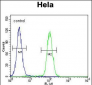 KIAA0999 Antibody (C-term)