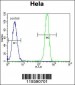 MSH2 Antibody (Center)