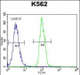 SFRP4 Antibody (C-term)