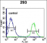 OGN Antibody (C-term)