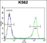 MLH1 Antibody (Center)