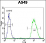 SMAD3 Antibody (S213)