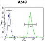 NIX Antibody (Center)