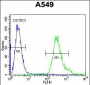 ANKRD58 Antibody (C-term)
