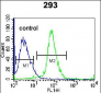 TNFSF15 Antibody (Center)