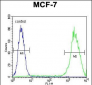 LGALS3 Antibody (C-term)