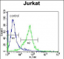 GCLC Antibody (N-term)