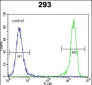 DDIT3 Antibody (C-term A135)