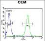 MSI1 Antibody (N-term)