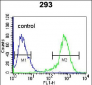 CDK8 Antibody (Center)