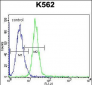 JAG1 Antibody (C-term)