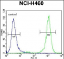 PCDHA9 Antibody (N-term)