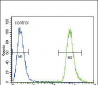 NEU2 Antibody (N-term)
