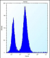 RBL2 Antibody (N-term)