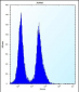 SNIP1 Antibody (N-term)