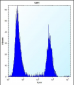 PTN Antibody (C-term)