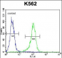 LIPC Antibody (Center)