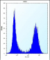 SCAP Antibody (N-term)